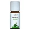 Kamfer olie Jacob Hooy 10ml
